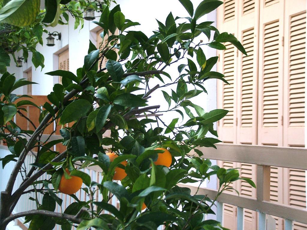 George'S Apartment Agia Marina  Værelse billede