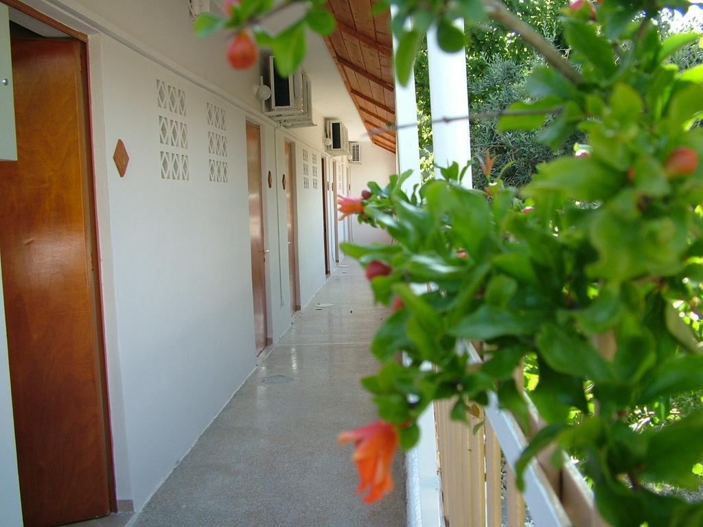 George'S Apartment Agia Marina  Værelse billede